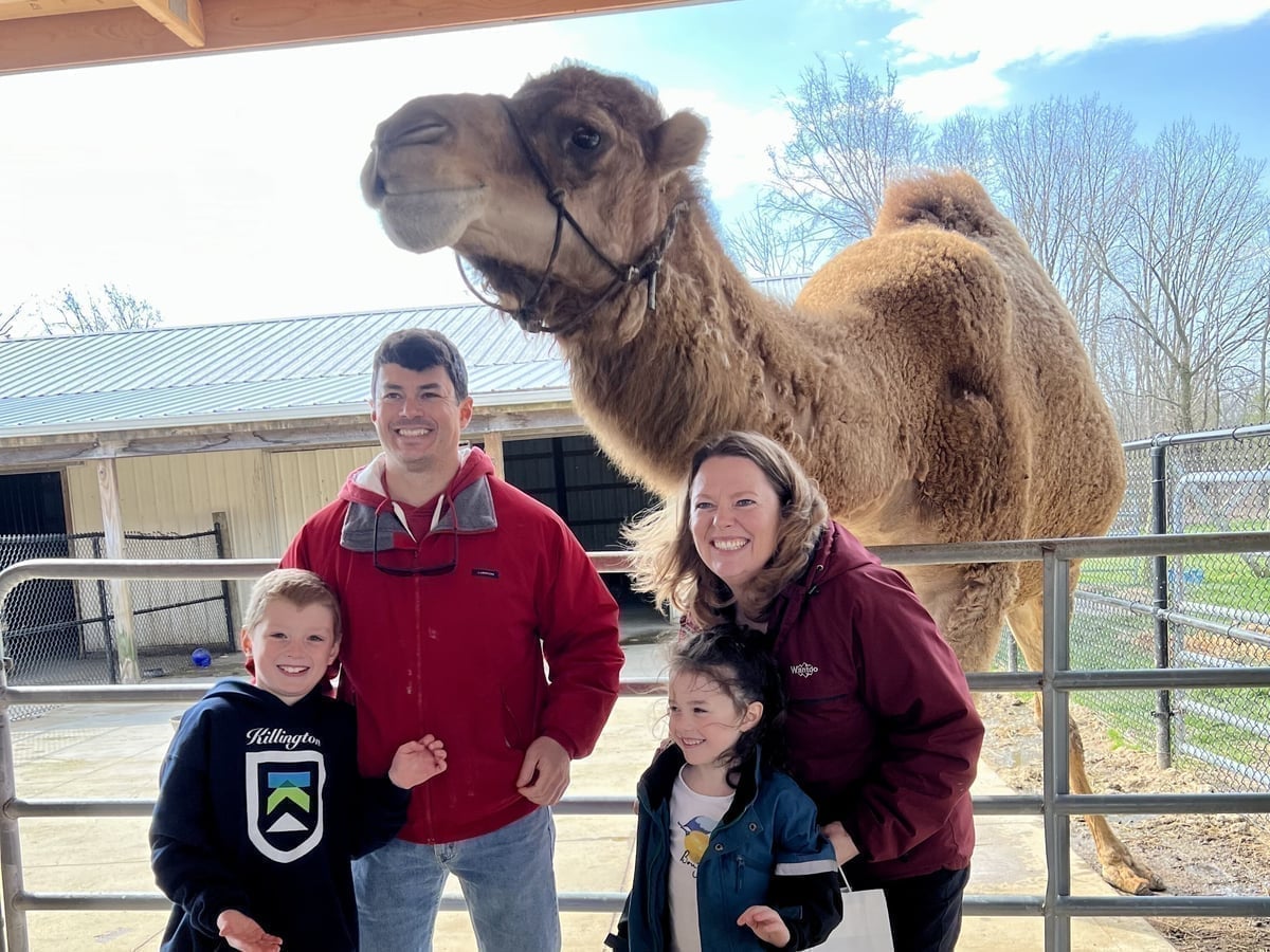 Camel at Majestic Meadows Alpacas family farm Ohio