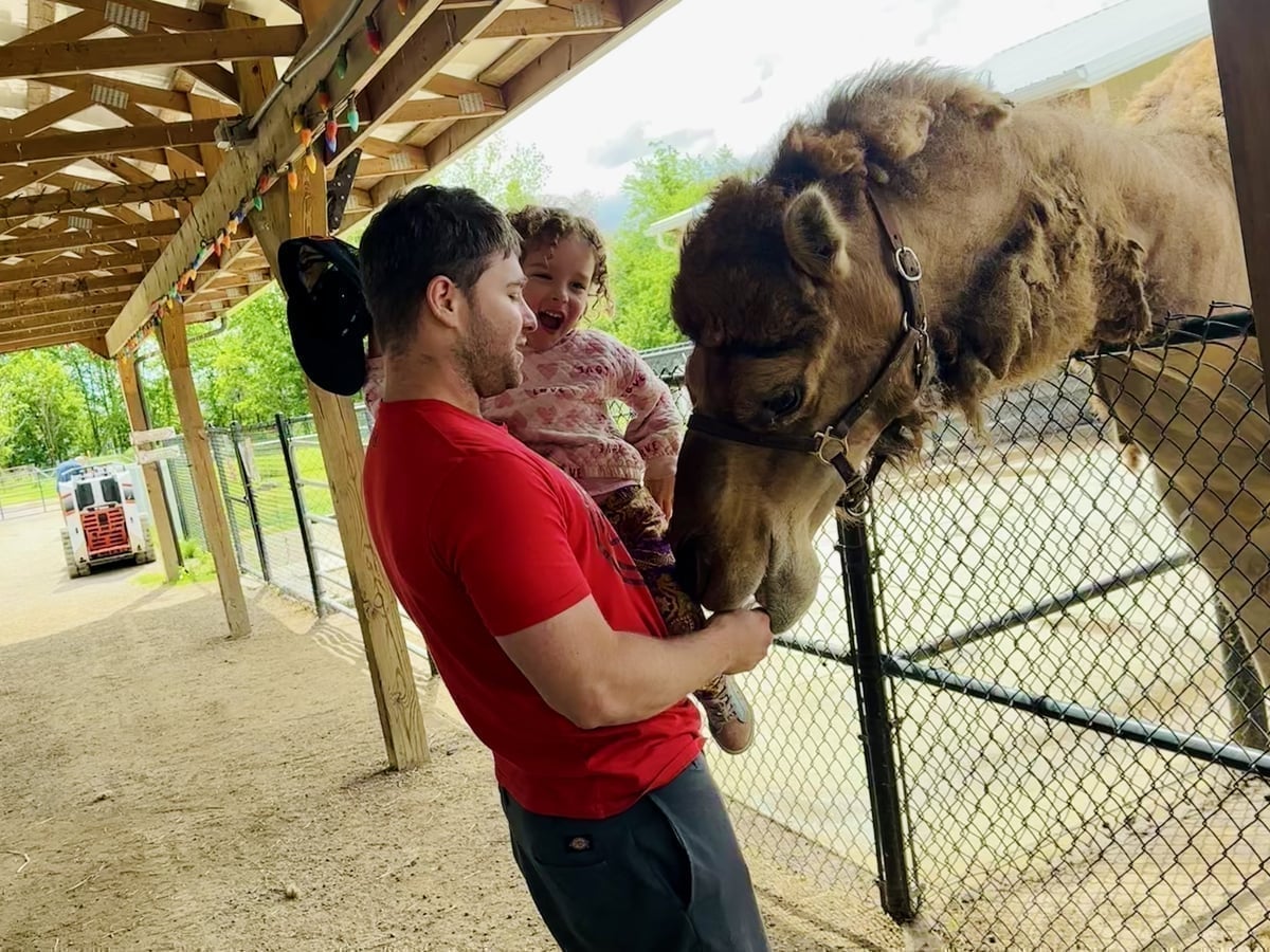 Meet camels at Majestic Meadows Alpacas Medina Ohio