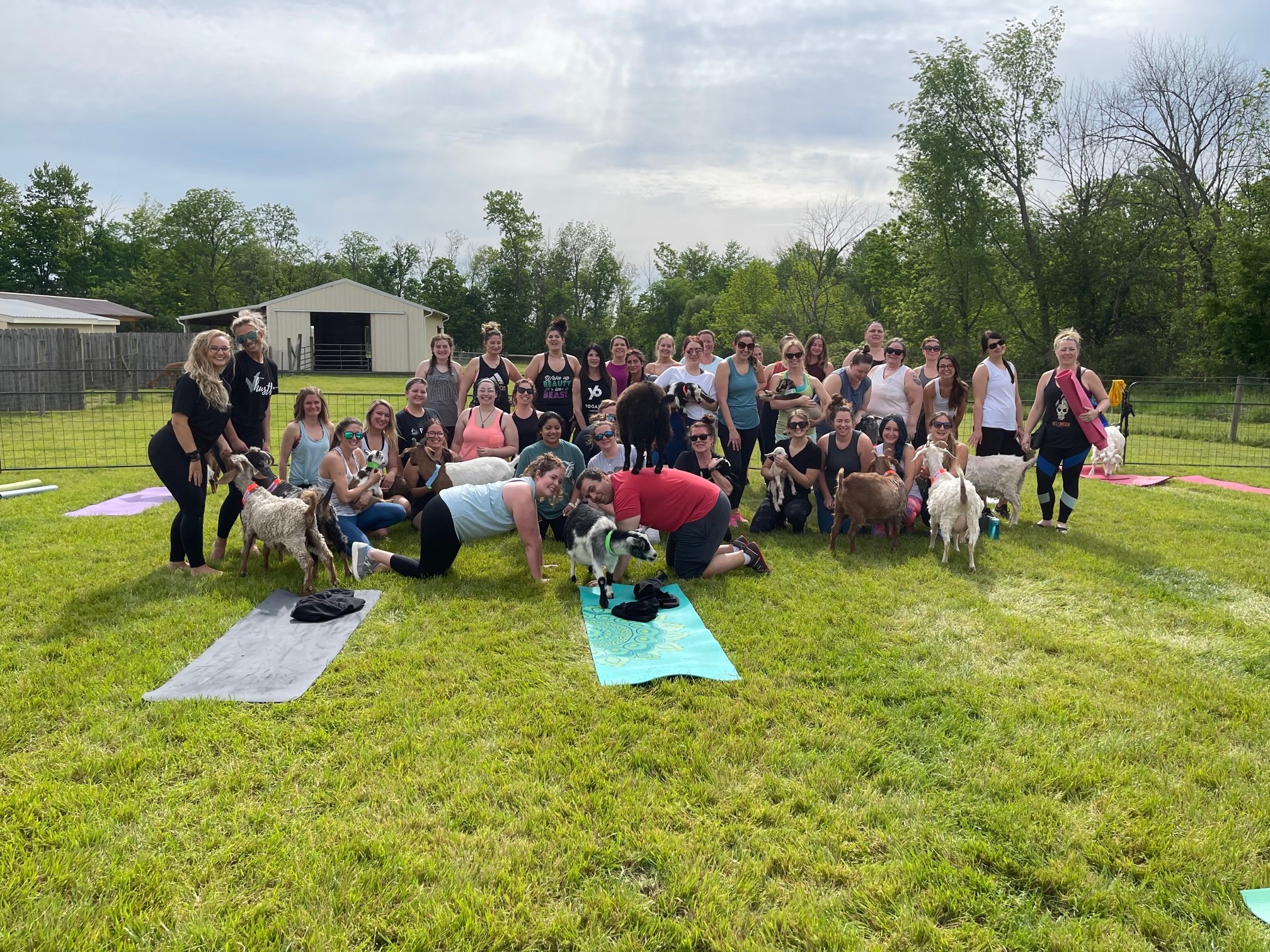 Goat yoga participants at Majestic Meadows Alpacas Ohio
