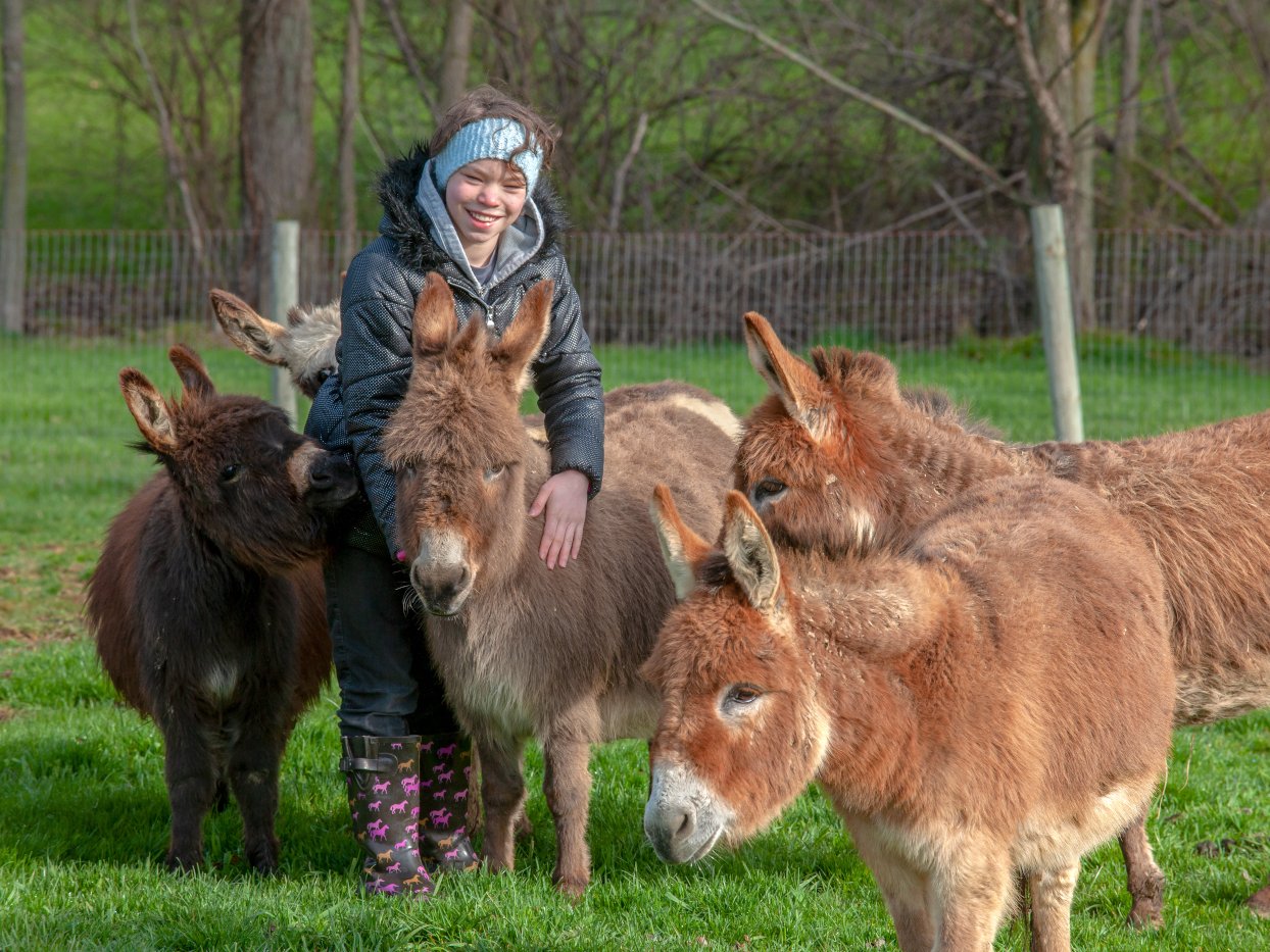 Guests enjoying the farm tour at Majestic Meadows Alpacas Medina Ohio